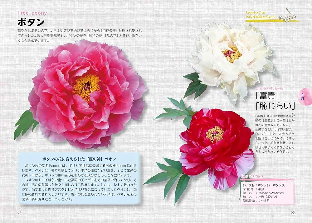 Amazon.co.jp: 幸せを運ぶ花言葉12か月: 366日の誕生花からの